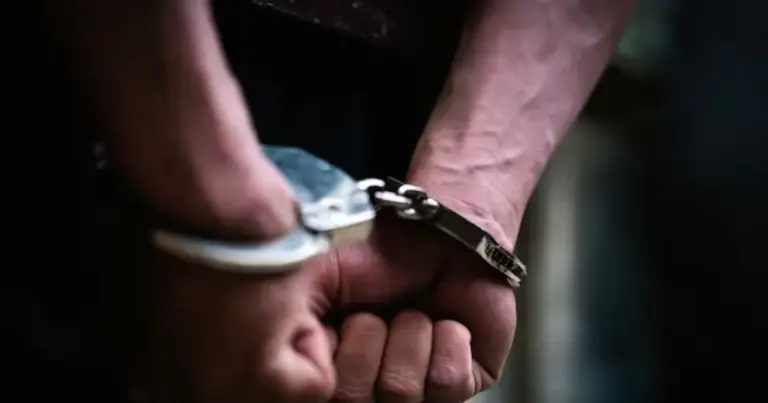 Two Chileans arrested in Missouri accused of robbing houses in different U.S. states.