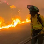 Wildfires in France and Spain leave 113 thousand hectares affected and 200 thousand evacuated in an "unprecedented" emergency