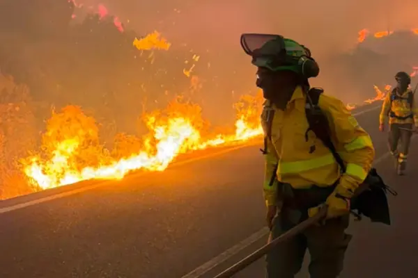 Wildfires in France and Spain leave 113 thousand hectares affected and 200 thousand evacuated in an "unprecedented" emergency