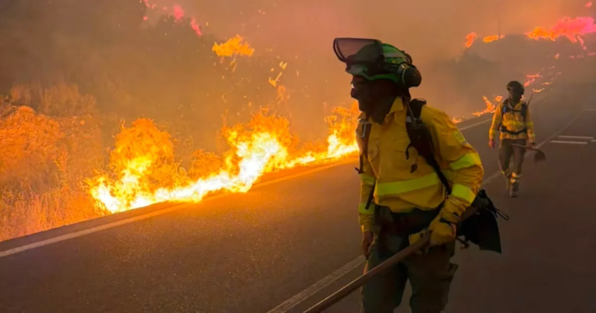 Wildfires in France and Spain leave 113 thousand hectares affected and 200 thousand evacuated in an "unprecedented" emergency