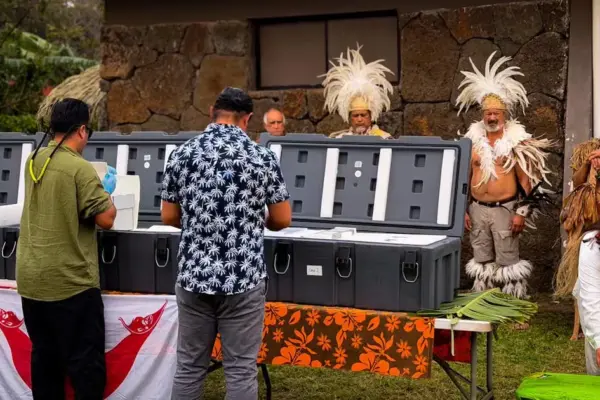 Australian Museum returns 18 pieces of ancestral remains to Rapa Nui: “A story marked by dispossession”