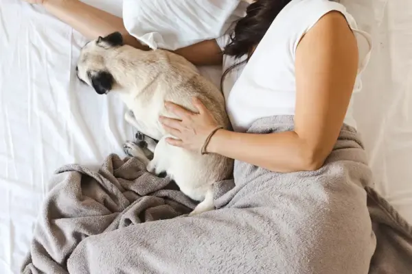 Team sleep with pets or everyone in their own bed?