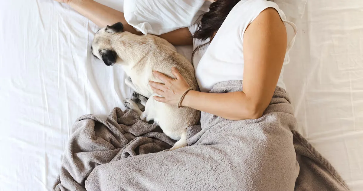 Team sleep with pets or everyone in their own bed?