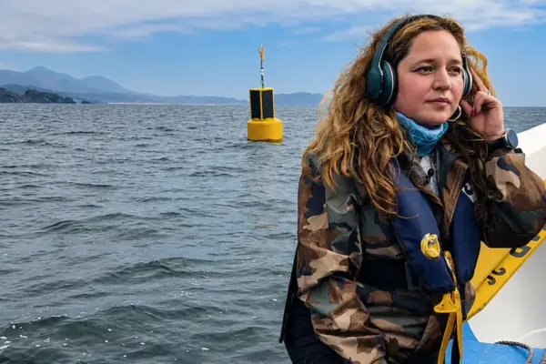 The marine biologist who uses artificial intelligence to protect whales