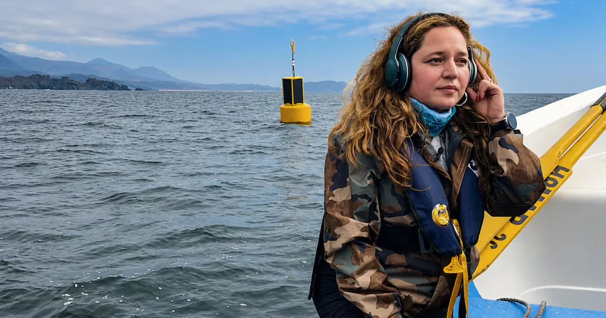 The marine biologist who uses artificial intelligence to protect whales