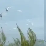 Air accident in Greece: two helicopters collide during forest fire fighting