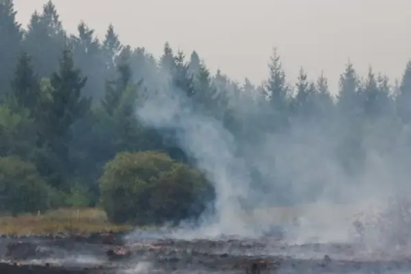 Germany orders partial evacuation of border area with Belgium due to large fire that has destroyed 3,000 hectares