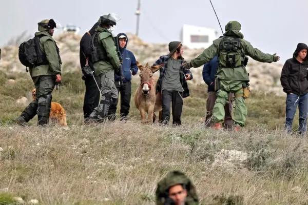 U.S. Ambassador to Israel calls settler harassment of Palestinians in the West Bank "terrorism"