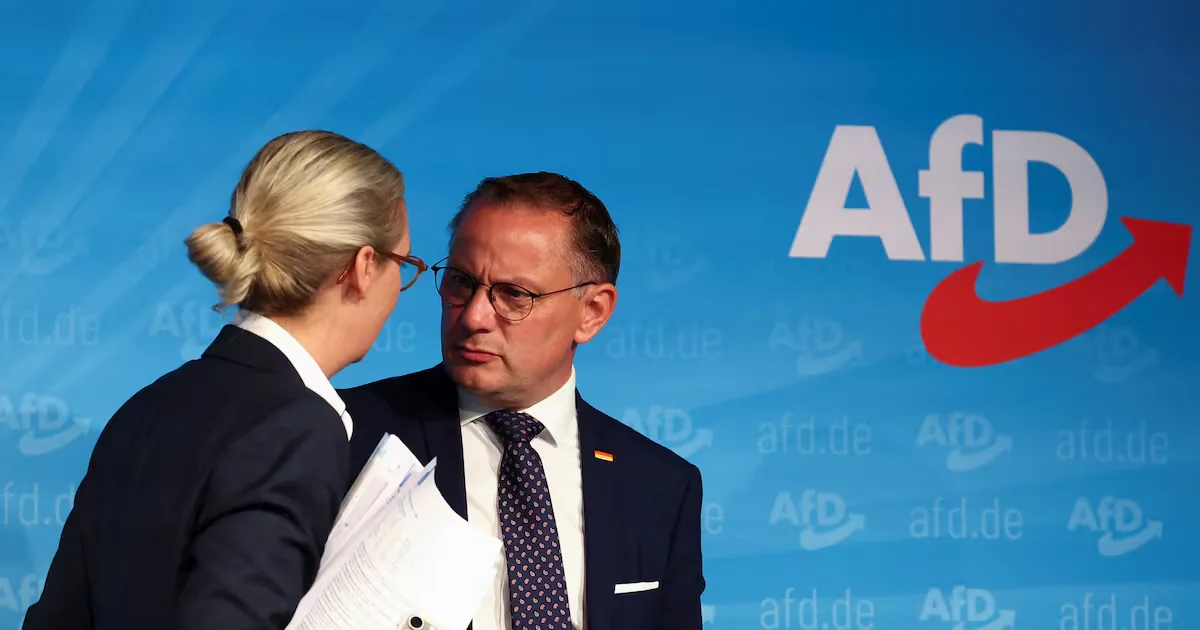 AfD reaches 30% voting intention in Germany, with a 10-point lead over the CDU/CSU