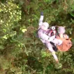 The lifeless bodies of the five occupants of a small plane that crashed in central Colombia are found